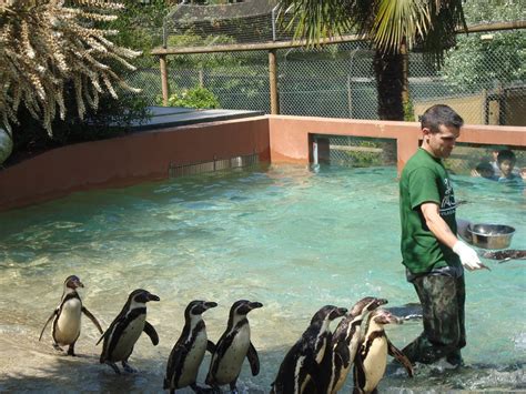 It opened its doors in 2000 in order to bring the community closer to nature and wildlife, warning for the growing importance of wildlife conservation worldwide. Um cantinho especial nas Marinhas: A nossa visita ao Zoo ...
