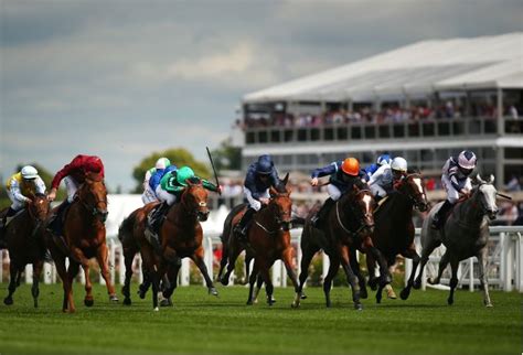 Andy Holdings Queen Anne Stakes Betting Tips And Preview Oddschecker
