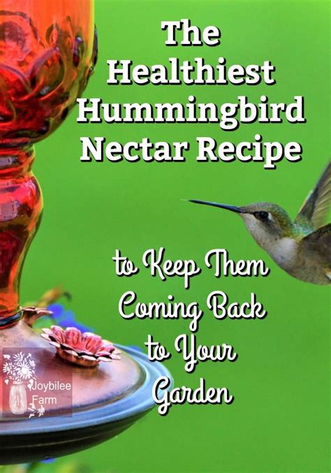 This Healthy Hummingbird Nectar Recipe And Glass Feeders Will Keep