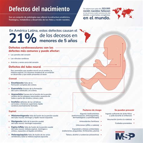 Defectos Del Nacimiento Infografía