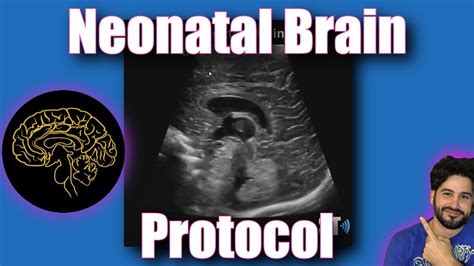 Neonatal Brain Protocol Youtube