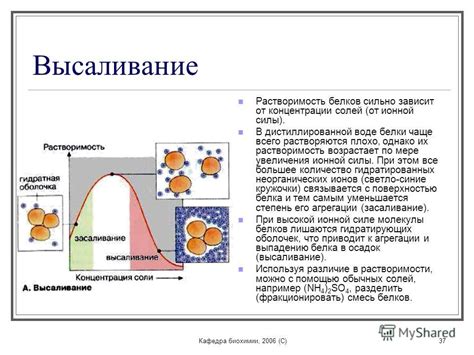 Презентация на тему Кафедра биохимии 2006 c 1 Биохимия белков и пептидов Ферменты