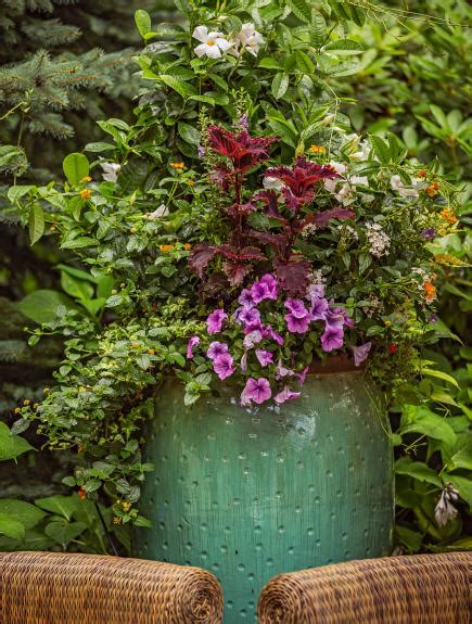 Container Gardens For The Midwest Midwest Living