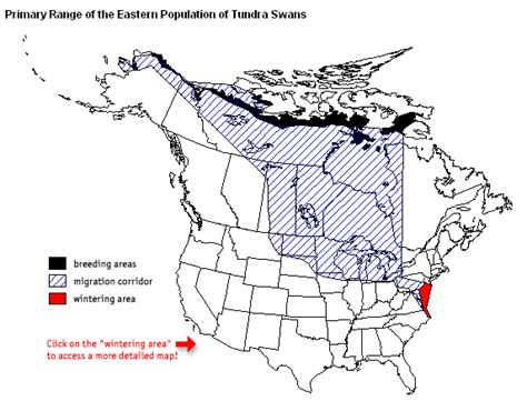 Canada Goose Migration Route Map