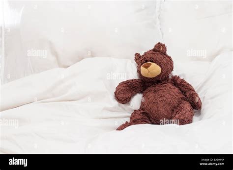 Cuddly Teddy Bear Hi Res Stock Photography And Images Alamy
