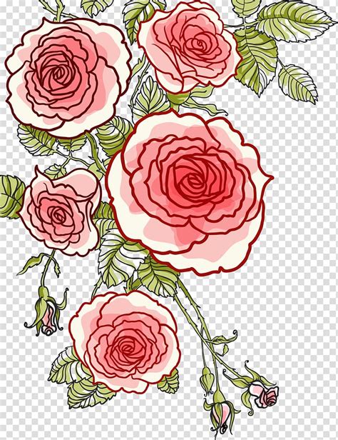 Free Download Red Flowers Illustration Rose Drawing Hand Painted