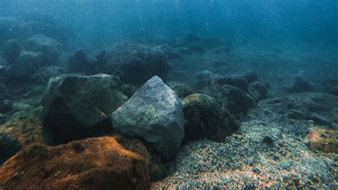 Wallpaper Stones Water Underwater Pebbles Hd Picture Image