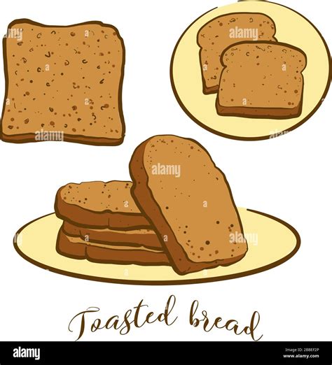 Colored Drawing Of Toasted Bread Bread Vector Illustration Of Toast
