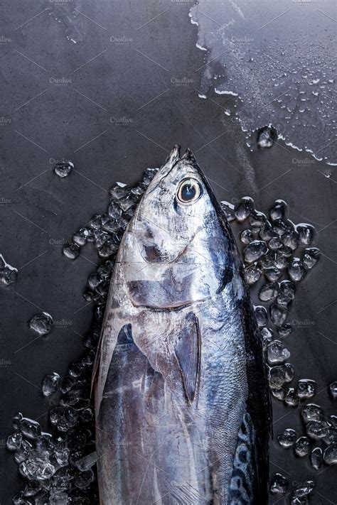 Raw Fresh Tuna Fish High Quality Food Images Creative Market