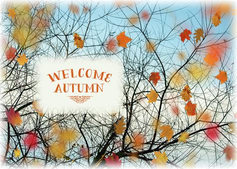 Welcome Autumn Photograph By Cathy Kovarik Fine Art America