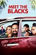 Meet the Blacks (2016) - Posters — The Movie Database (TMDB)