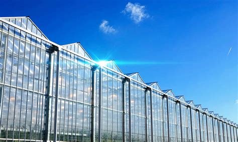 Modern Greenhouse Types A Sera Group Greenhouses