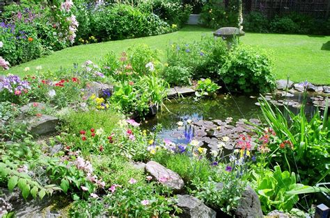DIY How To Arrange A Wildlife Friendly Edge In Your Garden Laidback Gardener