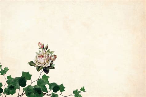 Background Bunga Untuk Undangan