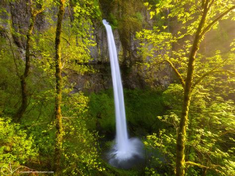 Golden Elowah Elowah Falls Columbia River Gorge Oregon