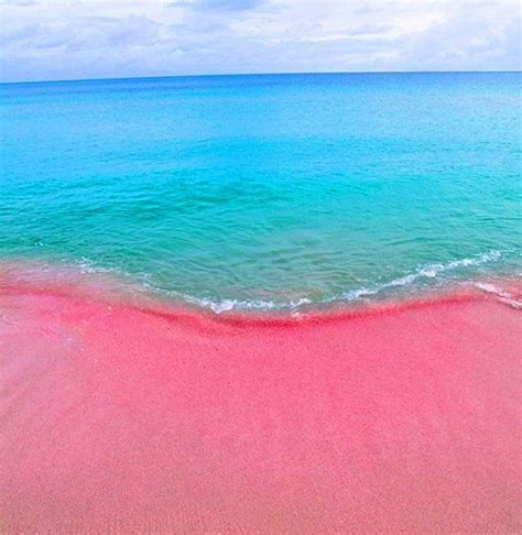 The Romantic Pink Beach Of The Komodo Islands Indonesia — Steemit