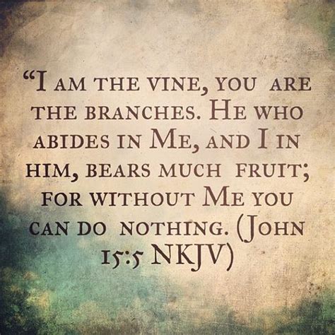 “i Am The Vine You Are The Branches He Who Abides In Me And I In Him Bears Much Fruit For