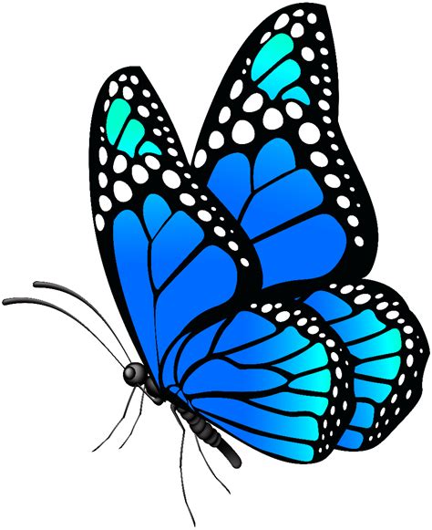 Download High Quality Butterfly Clip Art Blue Transparent Png Images