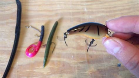 Best Baits To Throw In Ponds While Fishing From The Bank Youtube