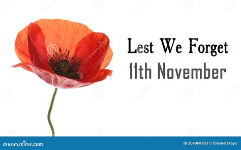 Remembrance Day Banner Red Poppy Flower And Text Lest We Forget 11th