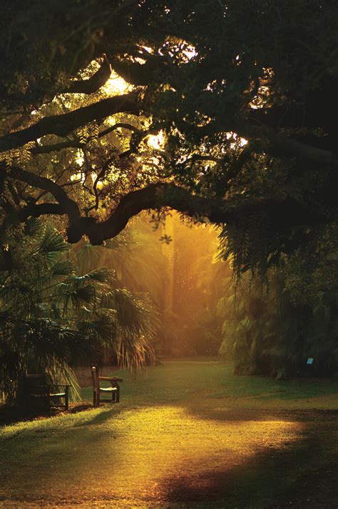 early morning sun captured beautifully, photo by Benjamin Thacker | Fairchild tropical botanic ...