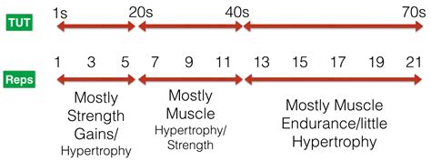 You can do more sets if you are an advanced lifter. Optimal program design 2.0