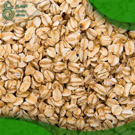 When To Plant Oats Comprehensive Guide