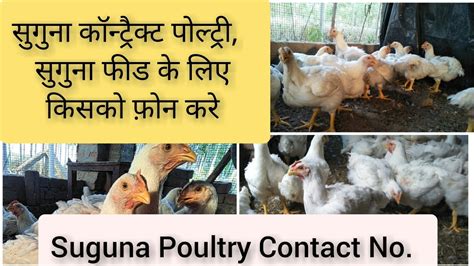 suguna poultry contract farming contract no ll suguna poultry feed ll सुगुना कॉन्ट्रैक्ट