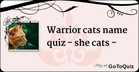 Warrior Cats Name Quiz She Cats
