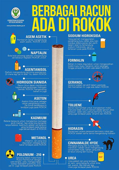 Berbagai Racun Dalam Rokok Infografis Kesehatan Motivasi Diet