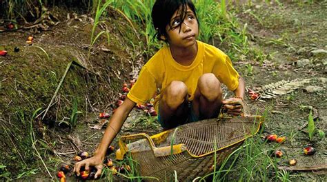 Cargill Forced Labor Is An Outrage Rainforest Rescue