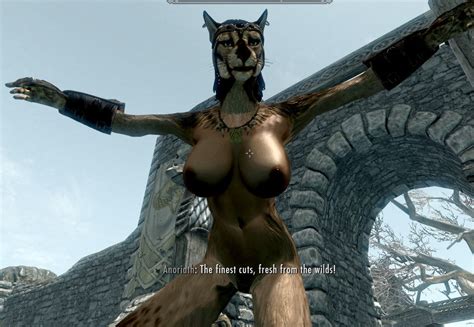 Another Nude Khajiit Human Hybrid For Cbbe V And Chsbhc