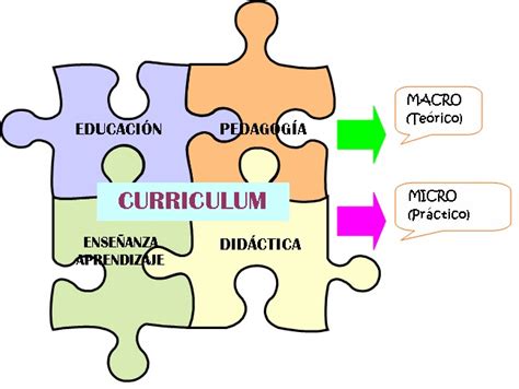 Principios De Curriculum Relación De Los Términos Pedagogía