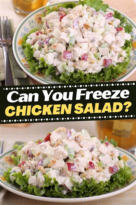 Can You Freeze Chicken Salad How To Do It Insanely Good