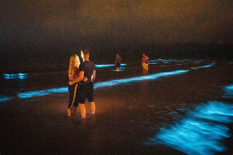 Sea Sparkle Rare Bioluminescence Lights Up The Waves At Irish Beach