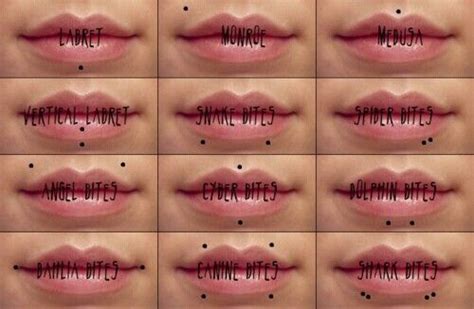 Facial Piercing Chart Spark And Shine Pinterest