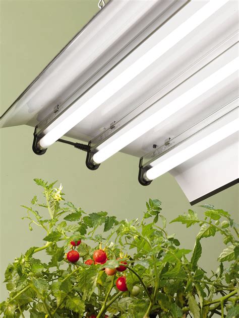 T5 Grow Light Fixtures 36 Gardeners Supply