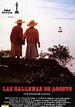 Las ballenas de agosto - Película 1987 - SensaCine.com