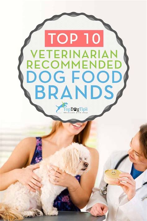 Convenient home delivery · free delivery over £59 · speedy checkout 10 Vet Recommended Dog Food Brands That Are Inexpensive ...