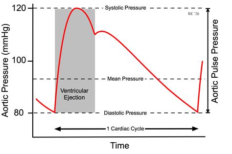 Cv Physiology Arterial Blood Pressure