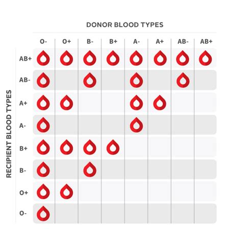 Find Your Blood Type With Canadian Blood Services