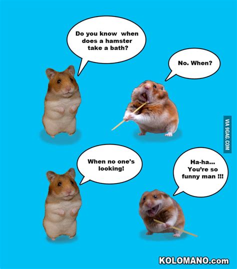 Bathing your baby too much can dry out his or her skin. When does a hamster take a bath? - 9GAG