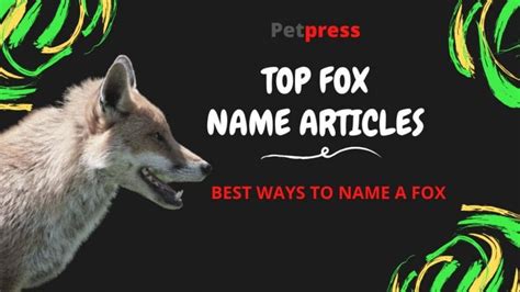 30 Good And Cute Female Fox Or Vixen Names Petpress
