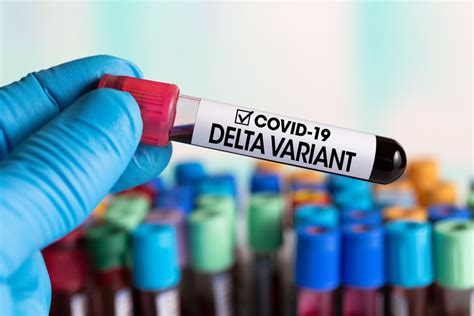 La variante delta se ha convertido en la variante del coronavirus más prevalente en ee.uu., solo por detrás de la variante alfa, según el centros de control y prevención de enfermedades. Variante Delta: Coreia do Sul, Holanda e mais países ...