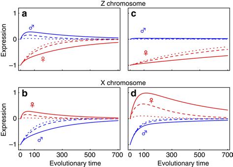 Evolution Of Dosage Compensation Under Sexual Selection Differs Between