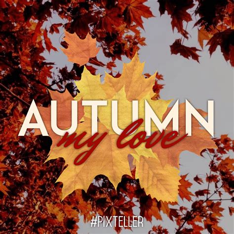 Autumn Quote Poster Fall Design Template 138706