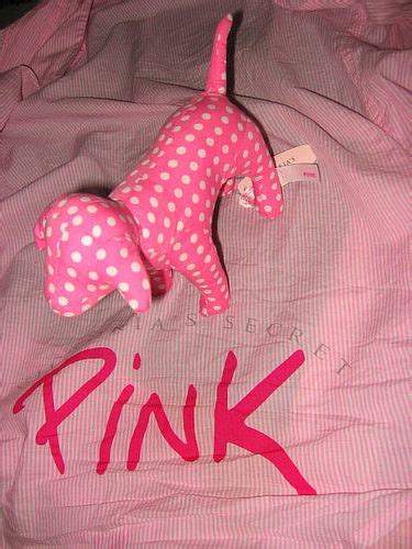 Vs Pink Dog Pink Puppy Pink Love Pretty In Pink Hot Pink Victoria