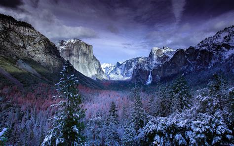 1920x1200 Snow Forests Yosemite Scenery 4k 1080p