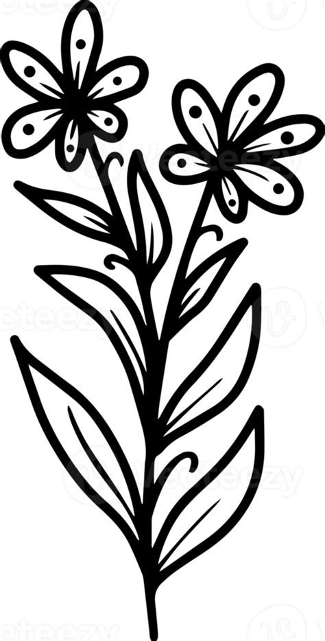 Hand Drawn Flower Sketch Line Art Illustration 10863218 Png