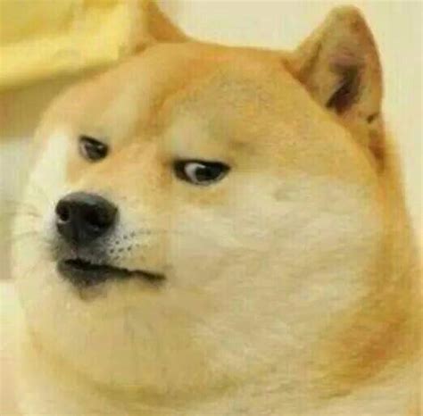 Doge Meme Templates Imgflip